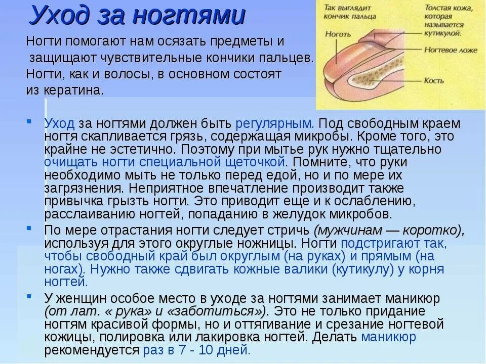 Гигиена обуви биология 8 класс. Правило ухода за ногтями и волосами. Памятка гигиена волос и ногтей. Памятка по уходу за кожей ногтями и волосами. Уход за ногтями правила гигиены.