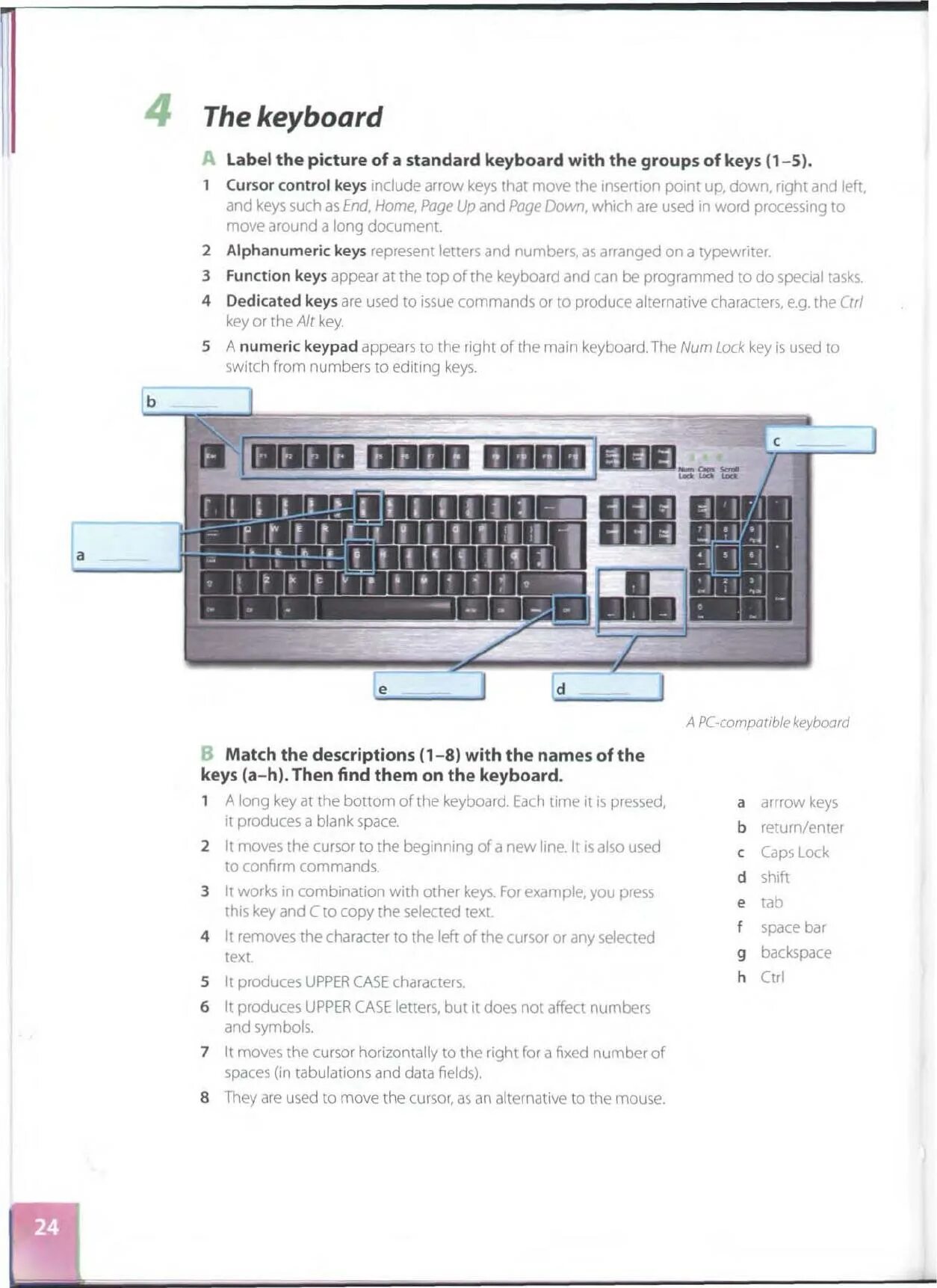 Include keyboard h. Standard keyboard. group of keys of a keyboard. label the pictures of a standard keyboard with the groups of keys. alphanumeric keys.