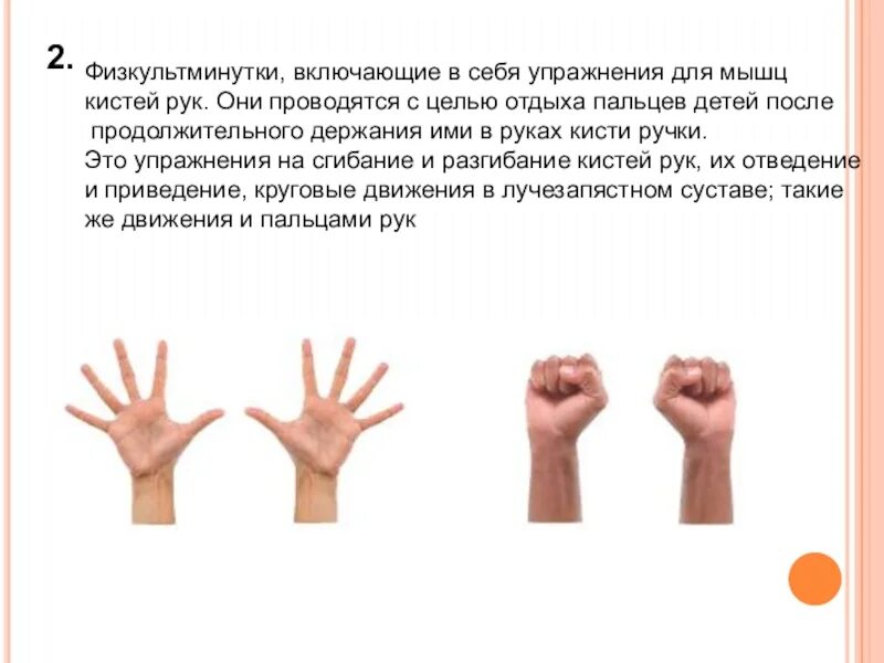 Упражнения на руки с гантелями. Комплекс упражнений для кистей рук и пальцев. Пальчиковые упражнения гимнастика для пальцев. Комплекс разминочных упражнений по физкультуре 2 класс. Упражнения для рук школа.