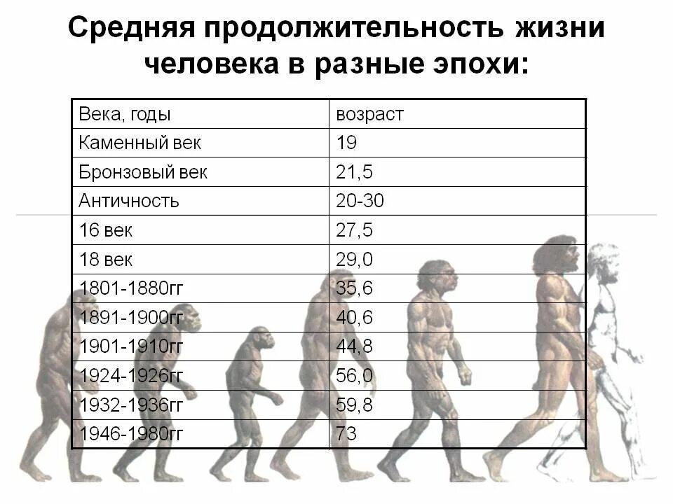 Сколько жили древние