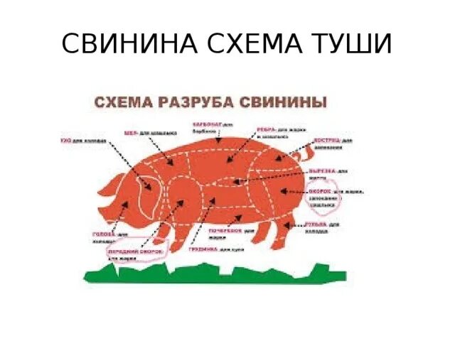 Какая часть говядины постная. схемы разделки говядины. рациональное использовани