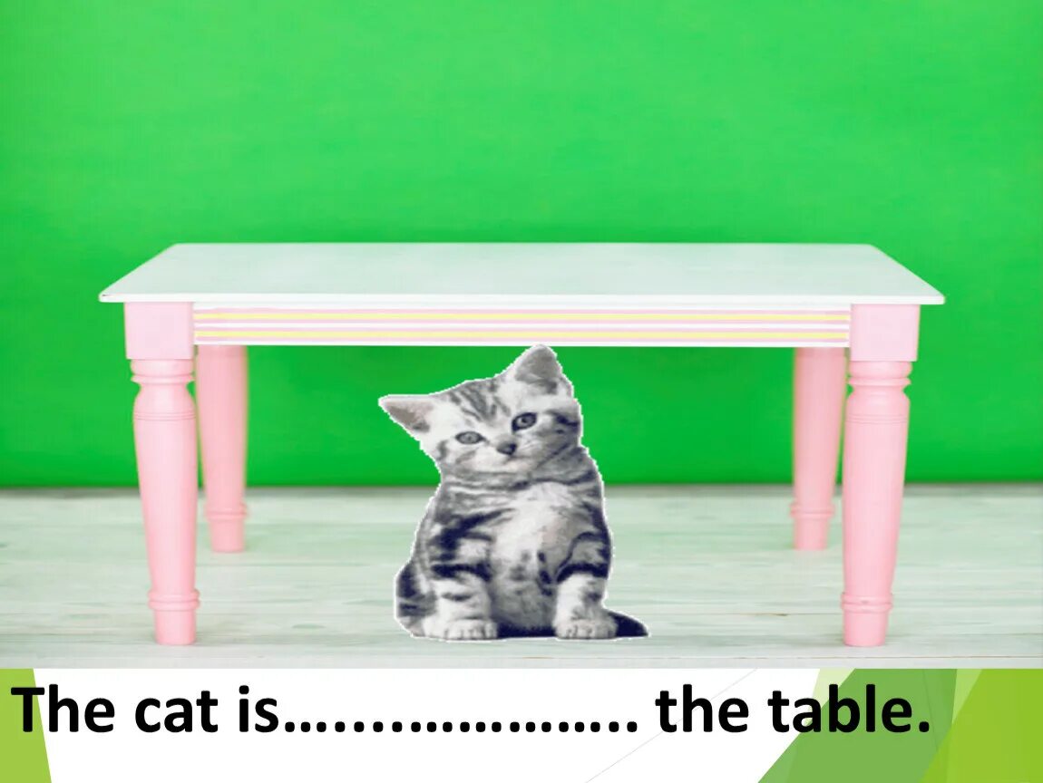 There a cat on the table. The cat is under the table. behind the table. cat on the table. the cat&#039;s table.