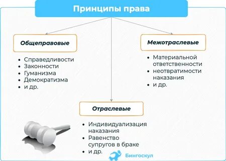 Общеправовые межотраслевые принципы