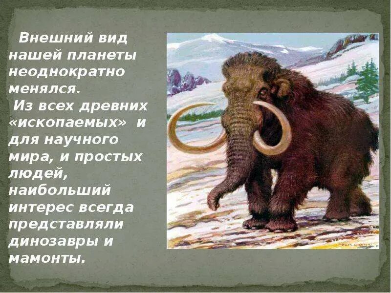 Мамонт это млекопитающее или нет. Возрождение шерстистого мамонта. интересные факты о мамонтах. динозавры и мамонты. внешний вид мамонта.