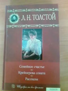 Крейцерова соната краткое содержание