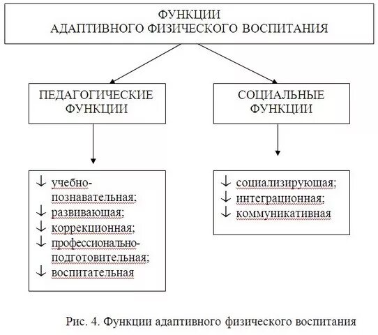Функции системы физического воспитания. Задачи, функции, принципы адаптивного физического воспитания. социальные принципы адаптивной физической культуры.