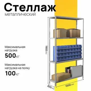Полка ms