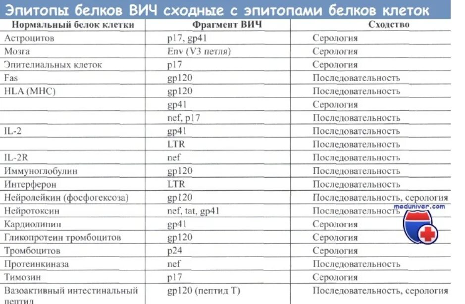 Белки вич. Белок при ВИЧ. Структурные белки ВИЧ. Белки при ВИЧ инфекции. Гликопротеин при ВИЧ.