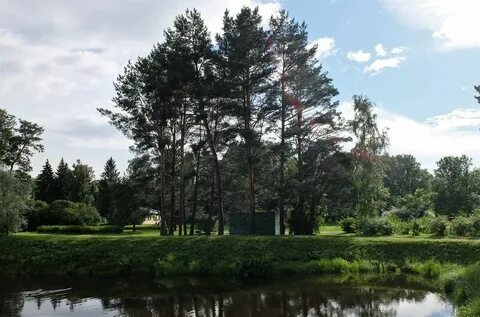Приморский парк отзывы
