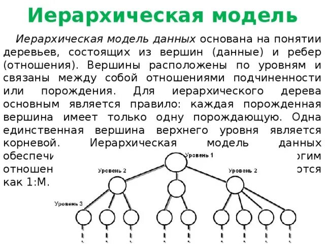 Модель иерархической системы. Иерархическая модель. Иерархическая модель данных. Структура иерархической модели данных. Иерархическая модель БД.