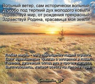 Вольный ветер текст