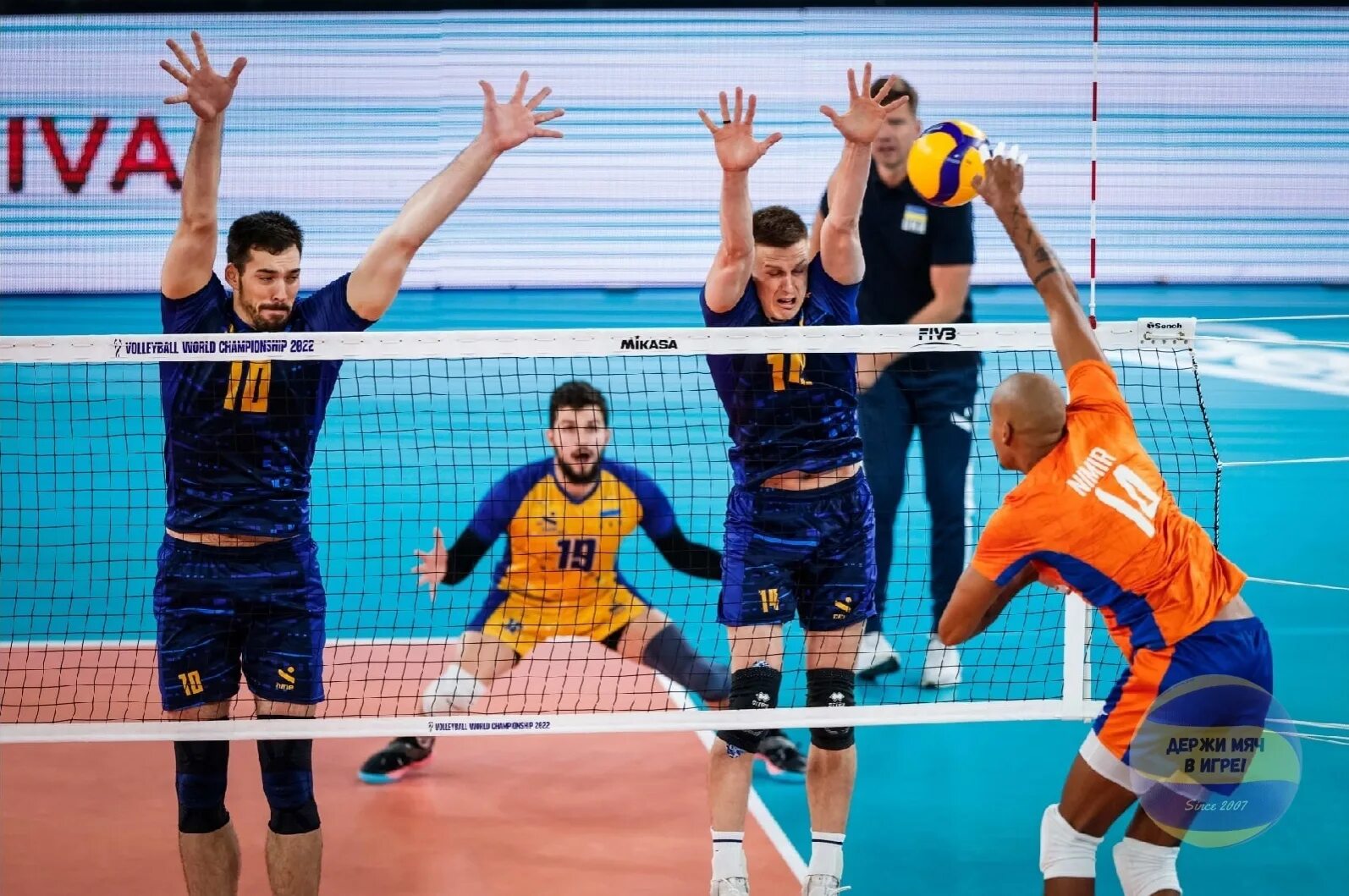 сборная по волейболу мужская. спорт волейбол. волейбол мужчины 1 4 финала. волейболисты московского динамо. соревнования по волейболу.