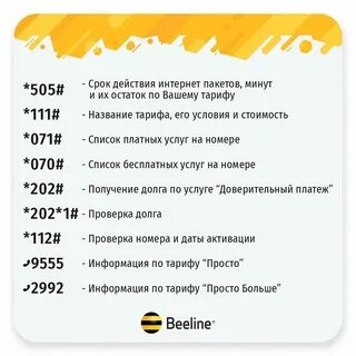 Как узнать телефон билайн команда