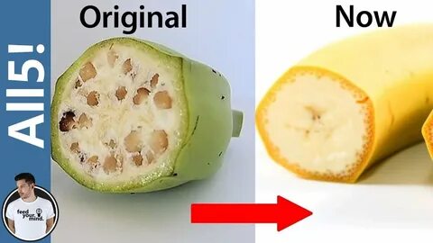 Like original