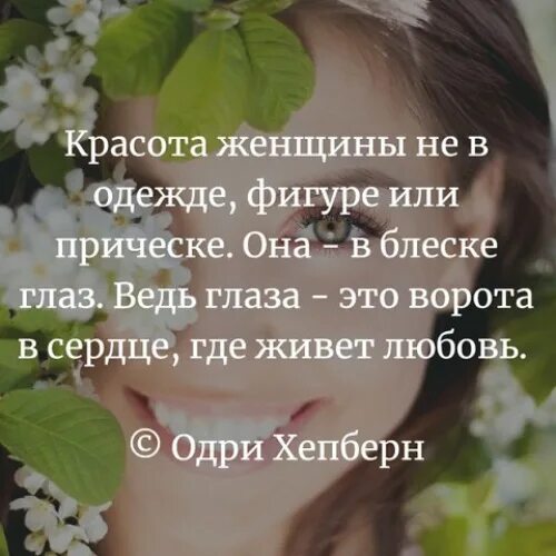 Блеск цитата