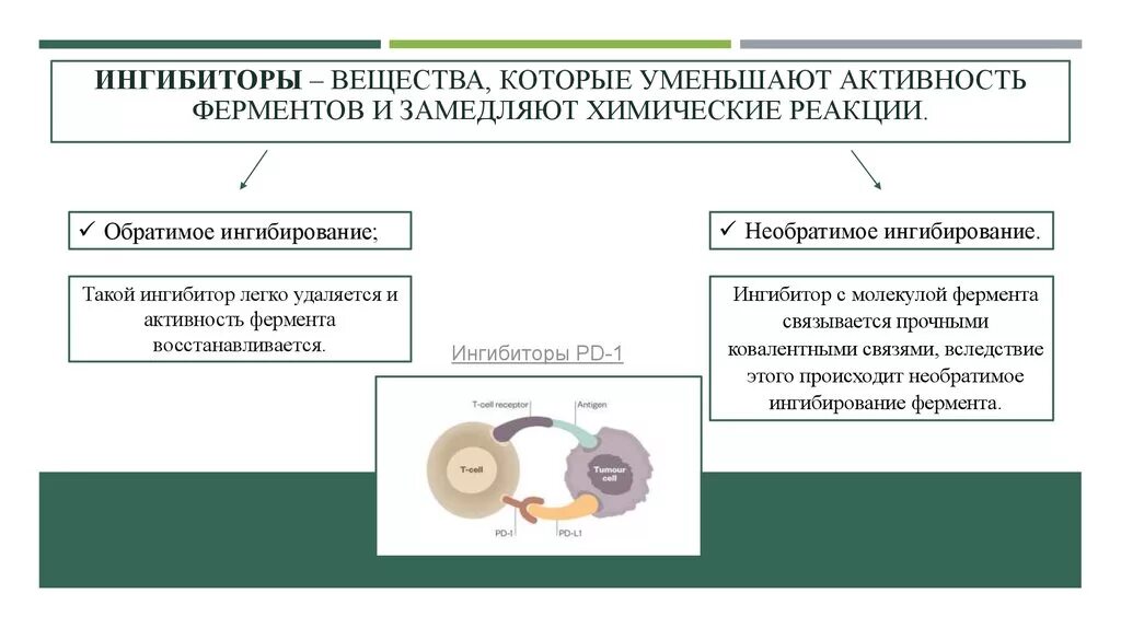 Ингибиторы это вещества которые. Ингибирование ферментов. Ингибиторы химических реакций. Реакции с ингибиторами примеры.