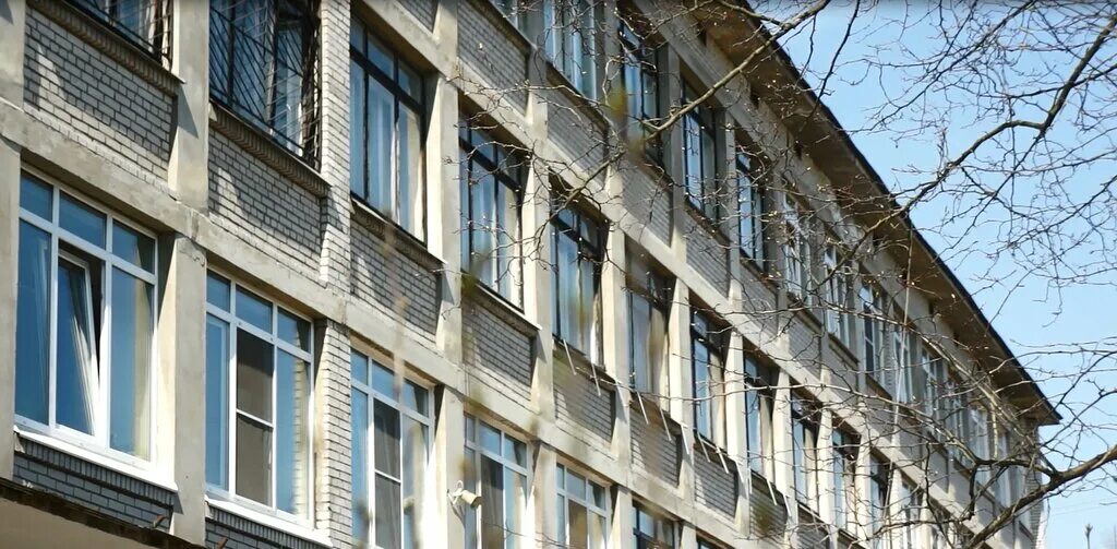 Лицей 408 пушкин учителя. Школа 477 пушкин. Лицей 408 пушкин. 477 школа пушкина. 477 школа пушкина.