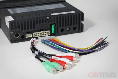 Venom d41dsp