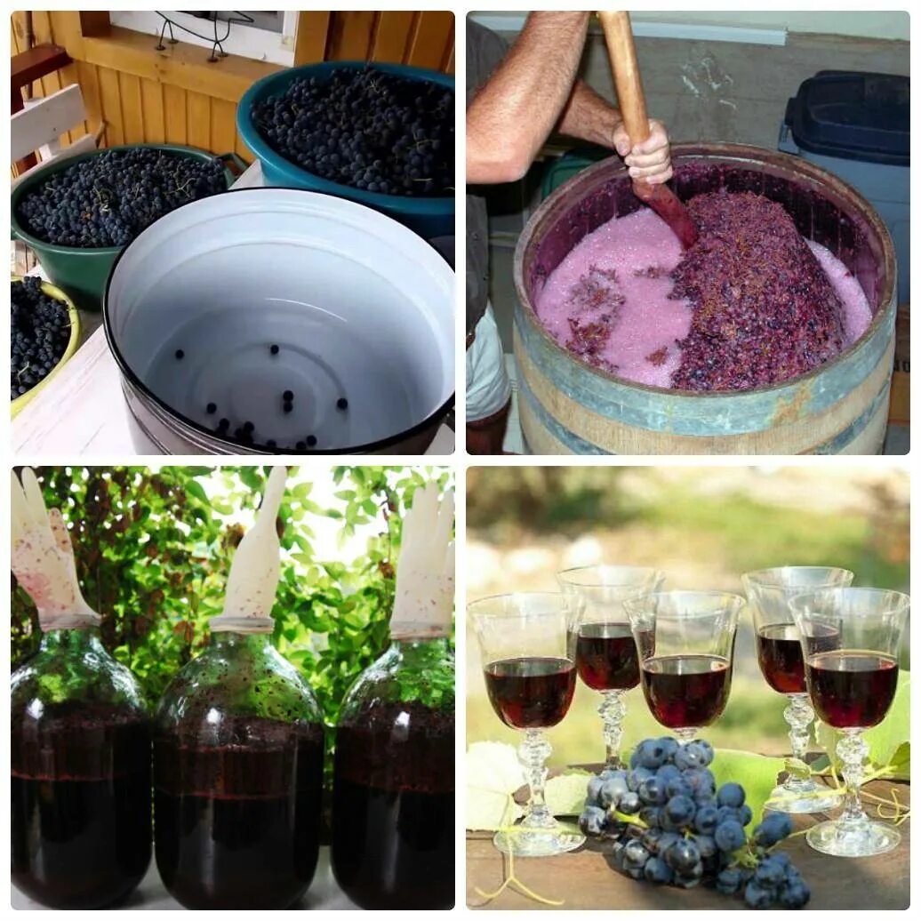 Вода в домашнем вине. Приготовление домашнего вина. Домашнее вино из винограда. Самодельное вино из винограда. Вино из винограда в домашних условиях.
