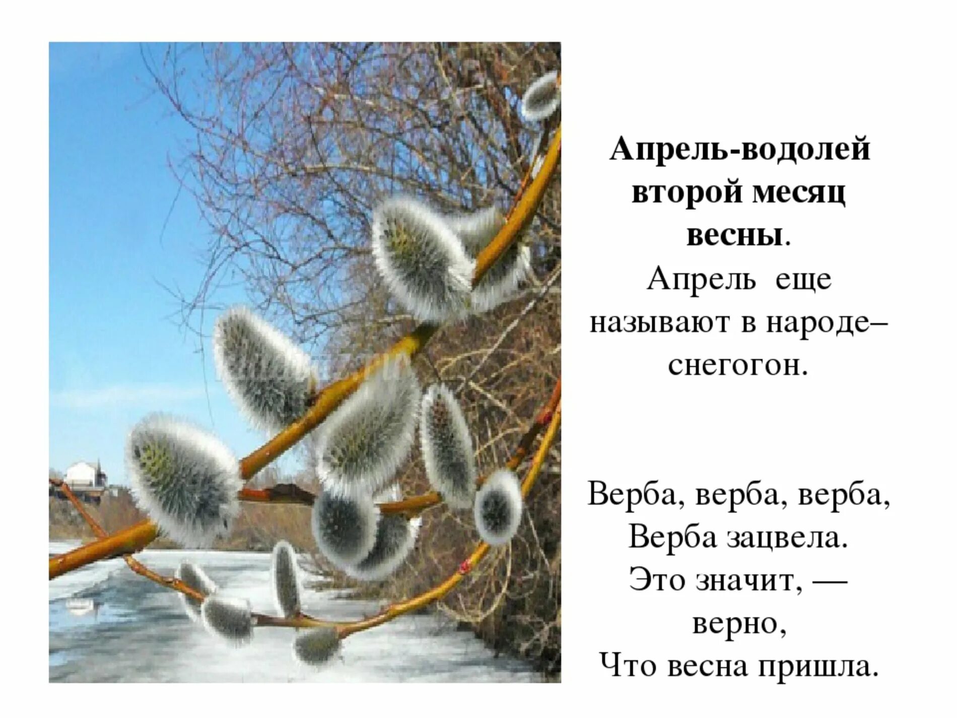 Апрель месяц весны. Апрель второй месяц весны. Апрель в народе называют. Апрель ассоциации. Апрель какой месяц весны