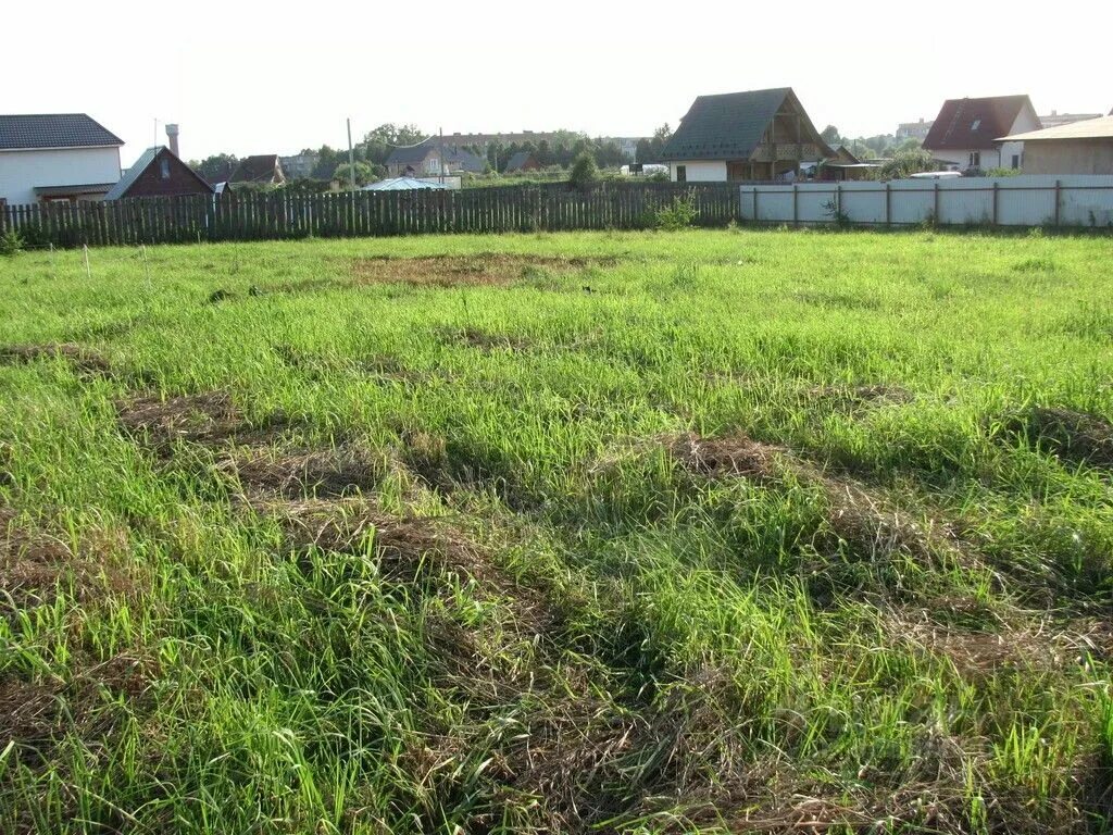 Земельный участок. Земельный участок огороженный. Можно продать землю без дома. Земельный участок фото. Земельный участок в городе.