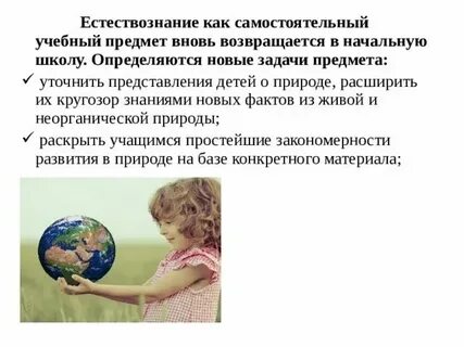 Урок естествознания в начальной школе