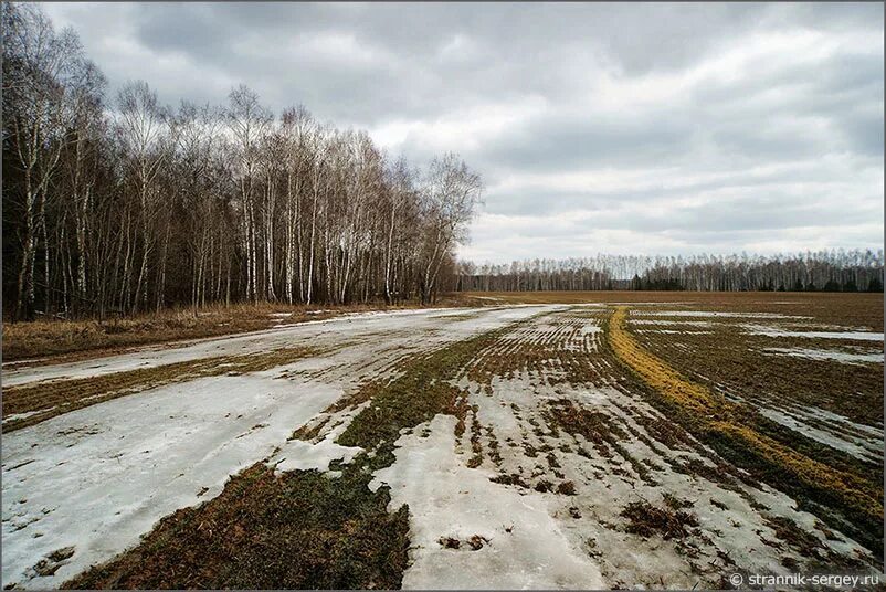 Поле весной картинки. Поле весной. Пашня весной. Поле ранней весной.