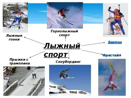 Состав лыжного спорта входят
