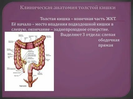 Сколько идет операция на кишечнике