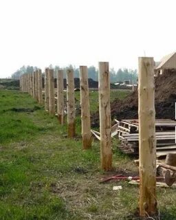Деревянные столбы