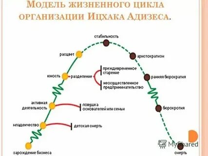 Цикл елей