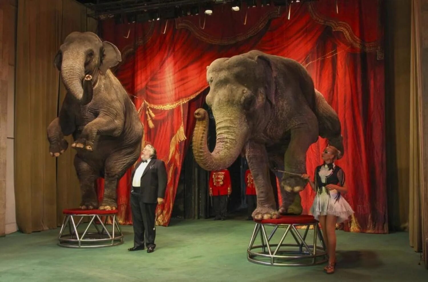 детский театр дурова. дурова. бегемот театр дурова. театр уголок дедушки дурова москва. детский театр дурова.