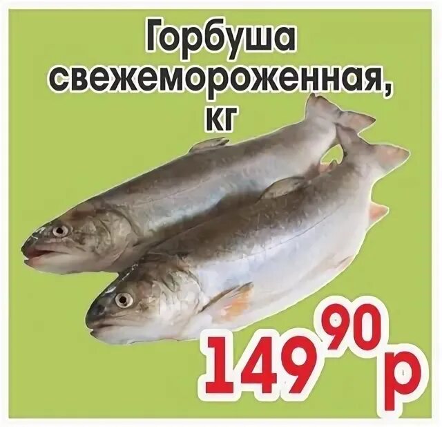 Светофор магазин горбуша