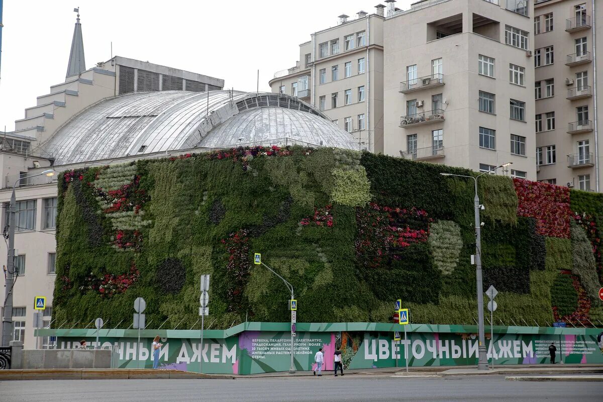 Выставка цветов в москве 2024 март. Кинотеатр Ударник Москва 2022. Цветочный джем кинотеатр Ударник. Цветочный джем 2022 Москва. Фестиваль цветочный джем.