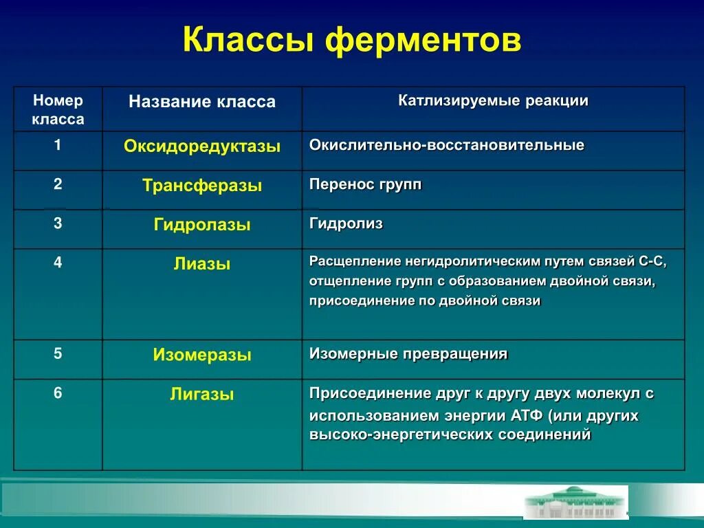 Три функции ферментов. Классы ферментов. Основные классы ферментов. Классы и подклассы ферментов биохимия. Перечислить классы ферментов.