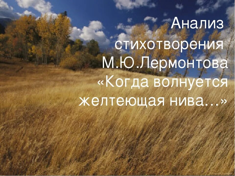 Стихотворение желтеющая нива анализ. М.Ю.Лермонтова "когда волнуется желтеющая Нива...". Когда волнуеься жельеющяя Ива Лермонтов. Стих когда волнуется желтеющая Нива Лермонтов.