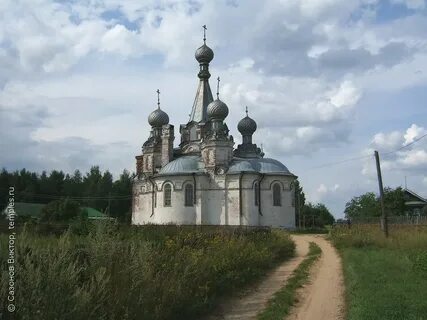 Погода густомесово