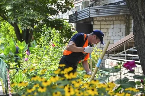Дворников ростов на дону