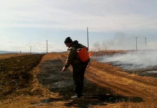 Погода чикой забайкальский край красный на неделю