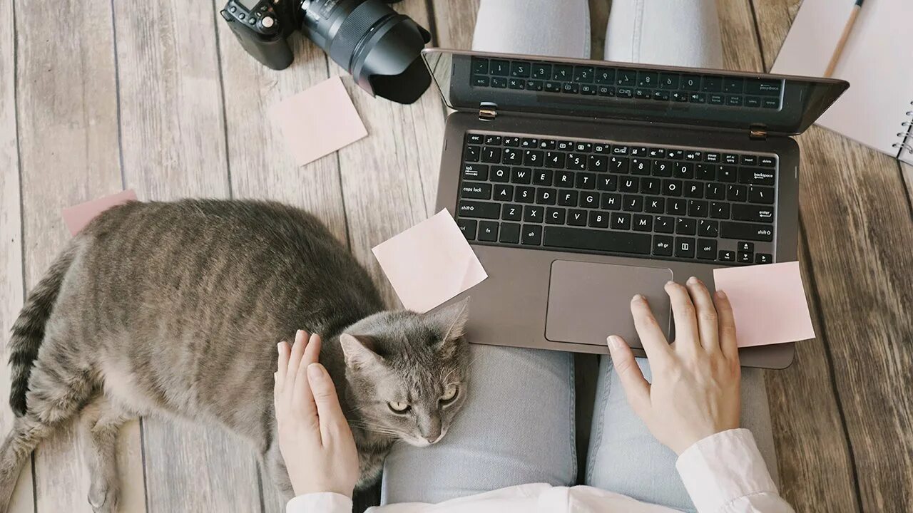 Они могут работать в самых