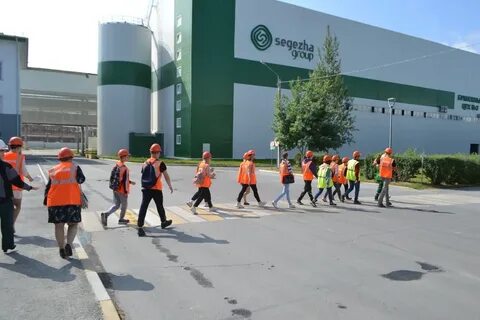 Северный колледж сегежа
