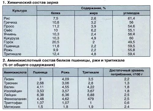 Пшеница состав белки. Тритикале состав зерна. Содержание белка в зерне ржи:. Аминокислоты в зернах пшеницы состав. Химический состав зерна.