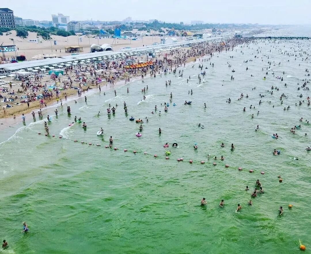 Цветет ли анапа. В Анапе позеленело море. Черное море цветет Анапа. Цветение моря Витязево Анапа. Анапа Витязево море цветет 2021.