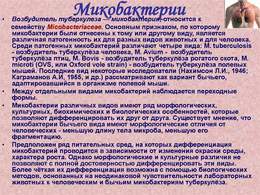 Микобактерии туберкулеза относятся к. Формы микобактерий туберкулеза. Возбудитель туберкулеза относится к группе. Возбудители туберкулеза относятся к виду.