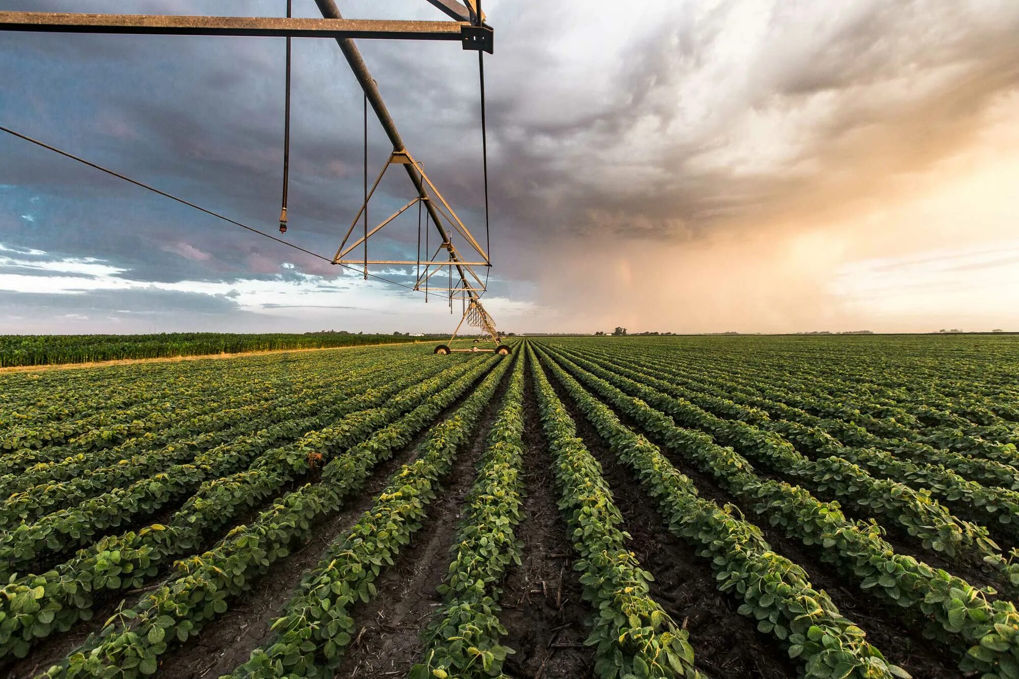 Ирригация это в истории. Surface Irrigation.