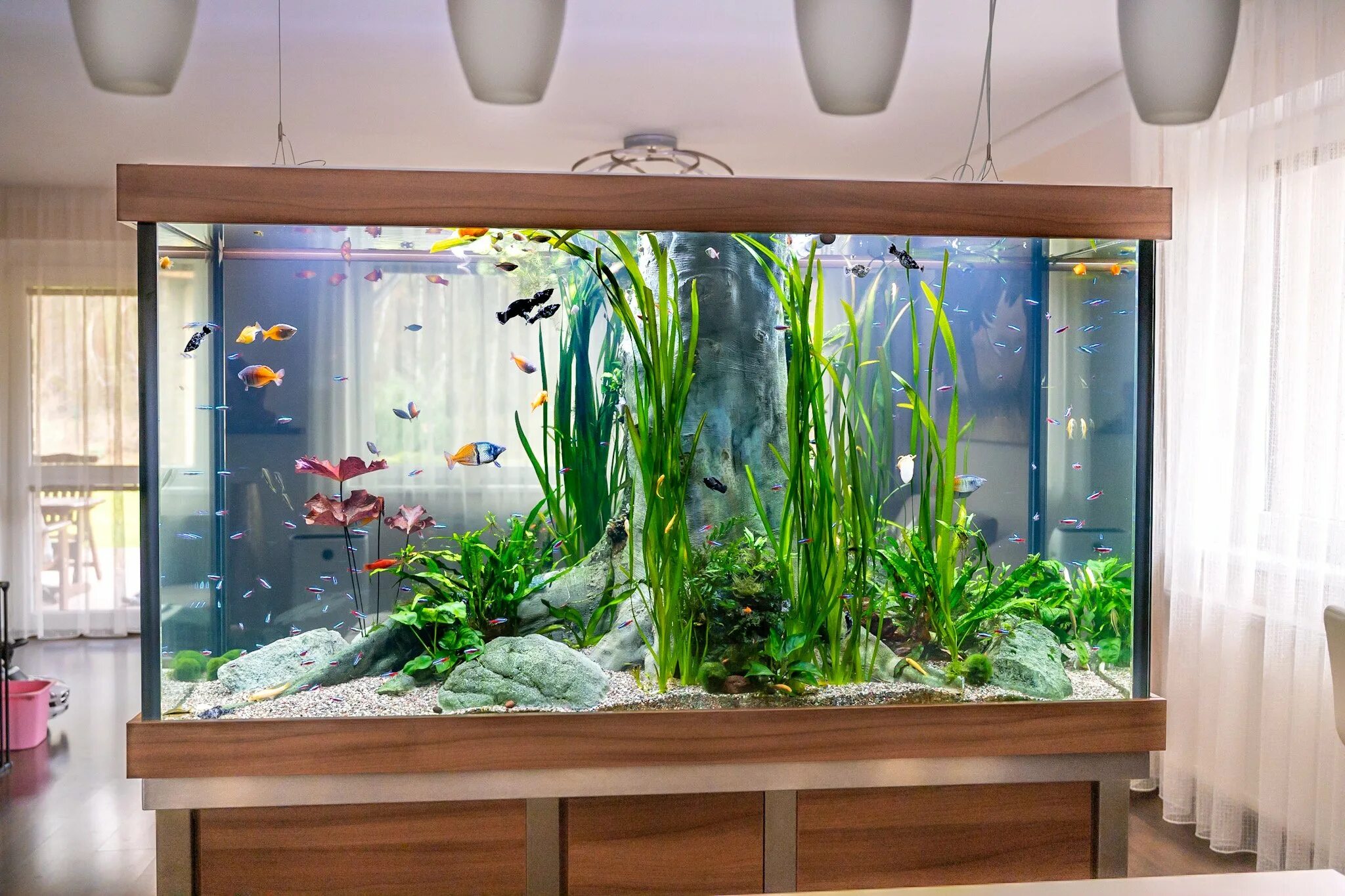 Аквариум aquarium