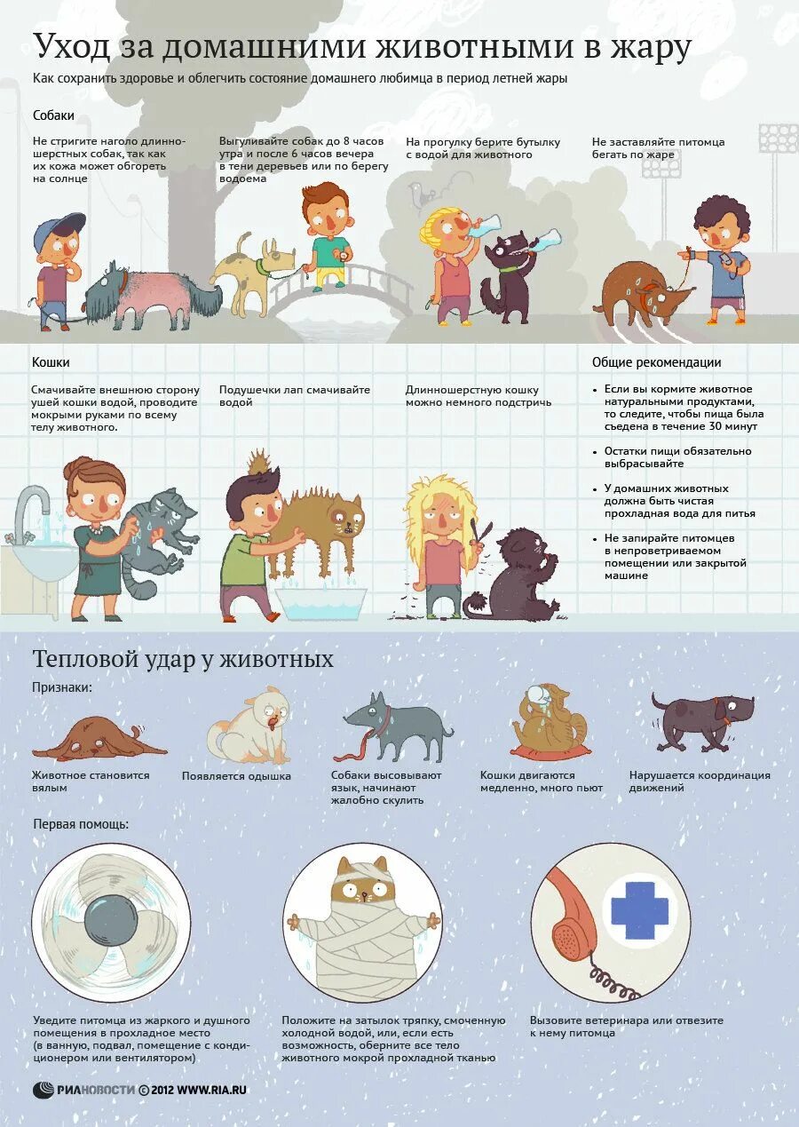 Рекомендации в жару. Рекомендации при сильной жаре. Как облегчить состояние в жару. Памятка животные в жару. Что делать в жару.