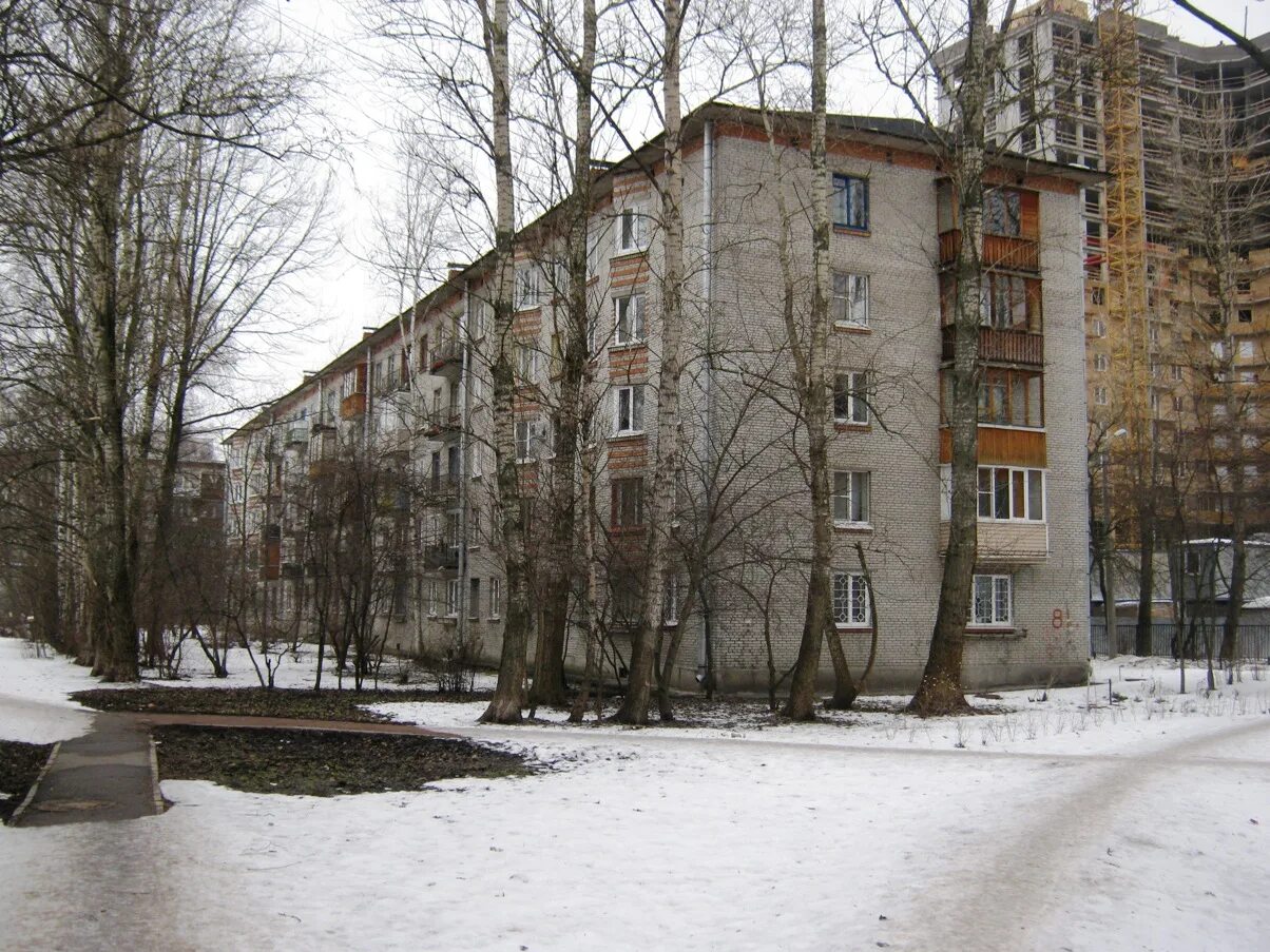 Дачный проспект 23 к 5. 21к1. Дачный проспект 16/2. Дачный проспект 5 к 3. Дачный проспект, 29к3.