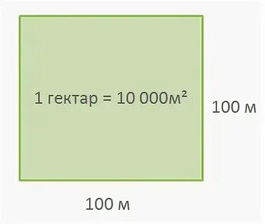 Площадь квадрата 100 на 100 метров