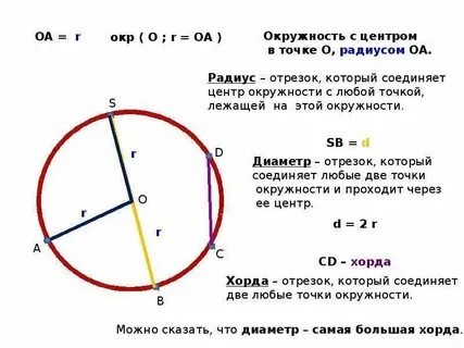 Сколько можно провести радиусов